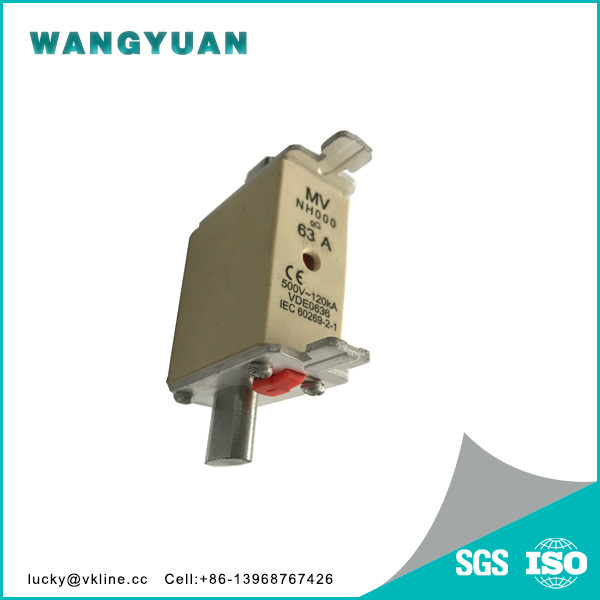 Hot New Products Grounding Rod For Electric Fence - NH000 120KA 500V Ceramic Fuse 63Amp Link gG – Wangyuang