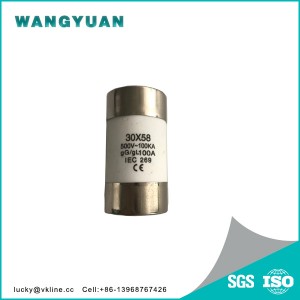 gG gL Cylindrical Fuse Link 30×58 100KA 500V AC DC indicator strike IEC 0269 Ferrule Fuse